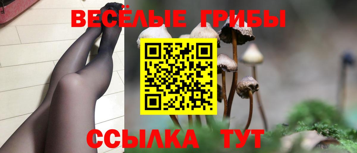 сколько стоит  Псилоцибиновые грибы Psilocybine cubensis  Вход с VPN  Калач-на-Дону 
